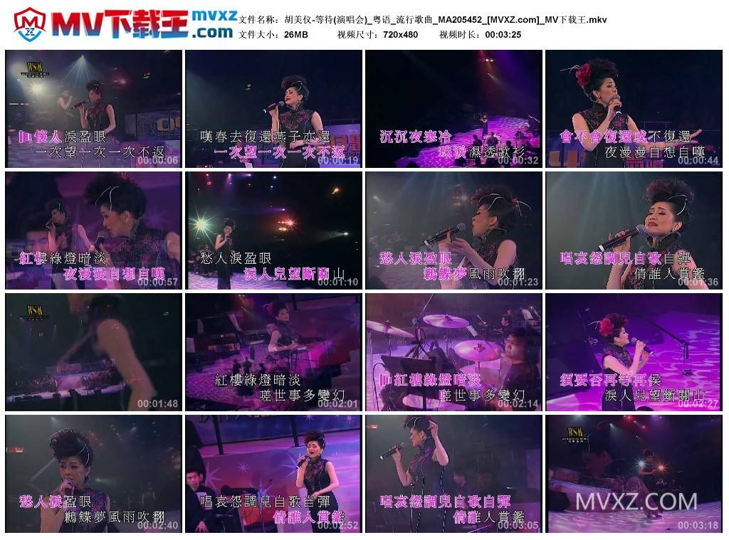 胡美仪-等待(演唱会)_粤语_流行歌曲_MA205452